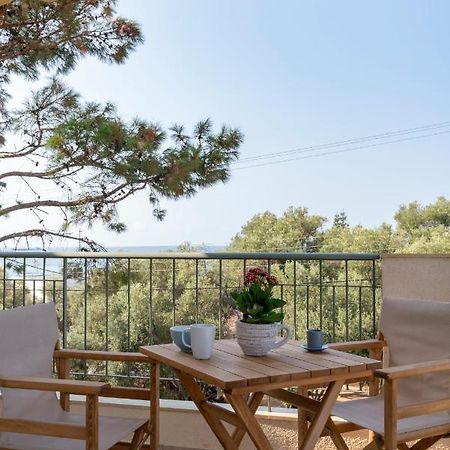 Alexandros Maisonettes & Apartments Nea Moudania Bagian luar foto